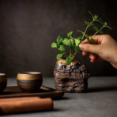 vase en céramique avec plante